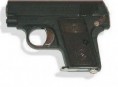 Colt 25